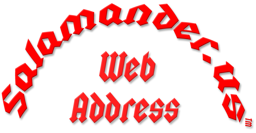 Salamander.US Web Address Trademark Logo